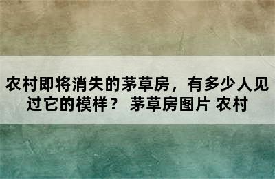 农村即将消失的茅草房，有多少人见过它的模样？ 茅草房图片 农村